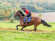 AK021025-66 - Believitanducan